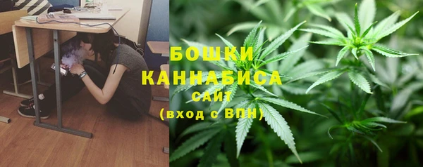 мет Карпинск