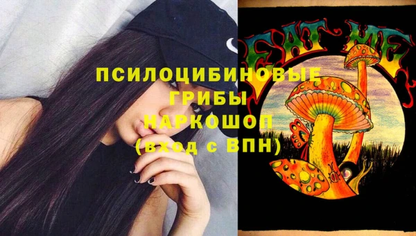 винт Касимов
