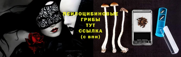 винт Касимов