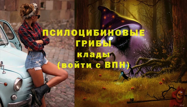мет Карпинск